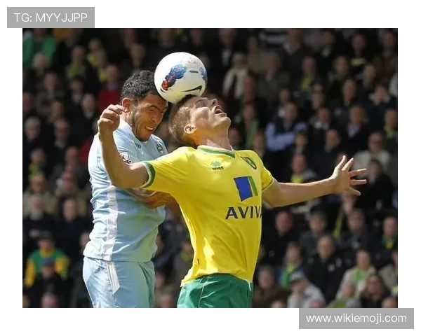 诺维奇面临财政压力 俱乐部运营与竞技表现受关注