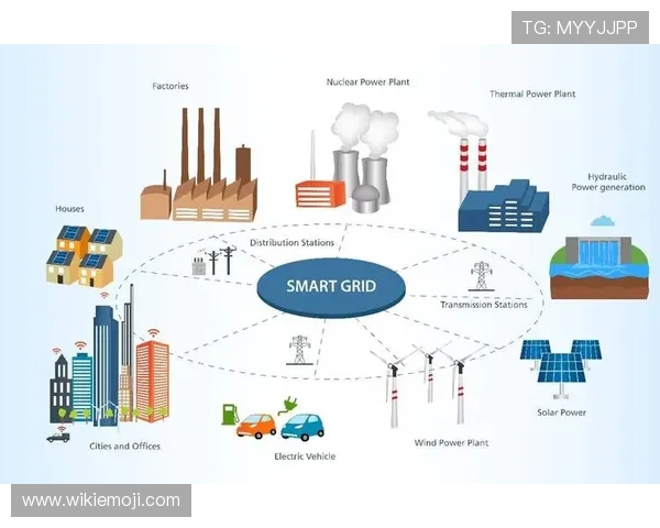维尔茨与厄德高组织效率对比分析 维尔茨与厄德高组织效率对比分析