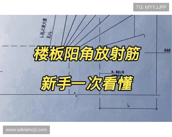 一次看懂球碰裁判规则：为什么不算出界？